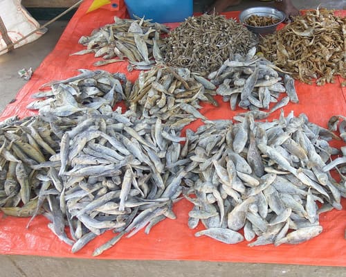 Fish & Meat – Machhi Wala near you