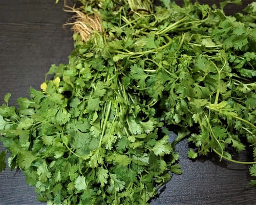 Leafy Greens – Hari Sabzi Wala near you